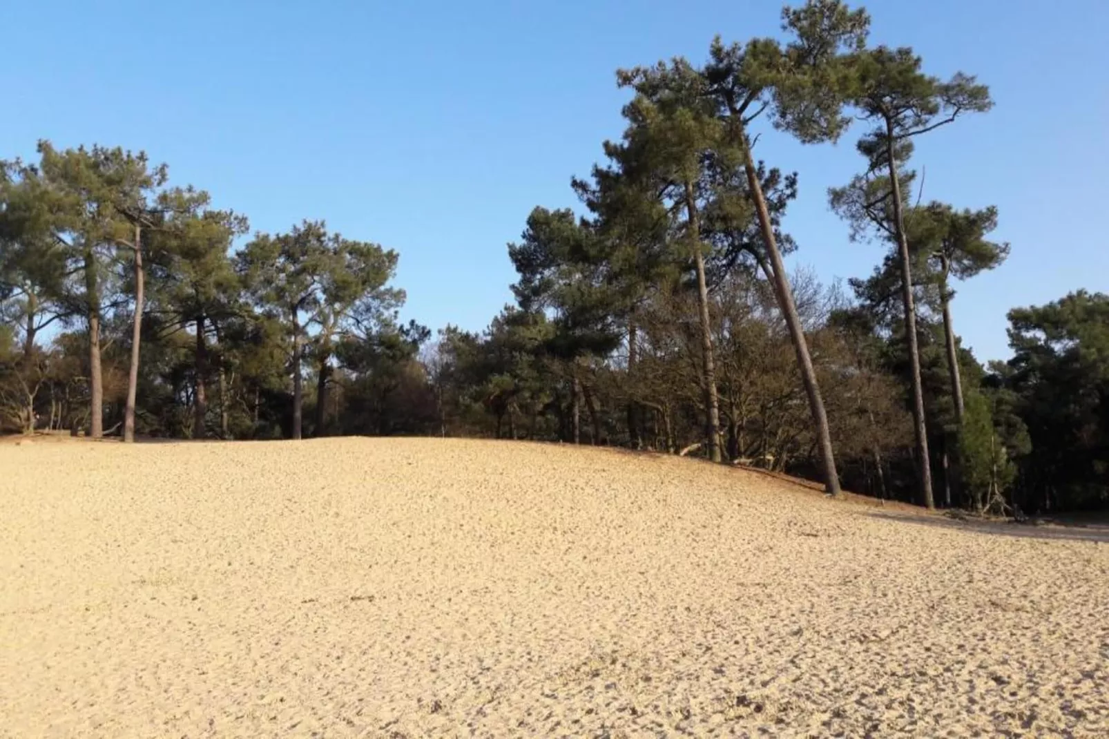 Recreatiepark Duinhoeve 12-Gebiete Sommer 20 km
