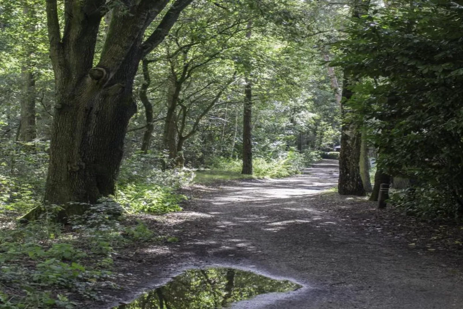 Vakantiepark Latour 2-Areas within 20km in summer