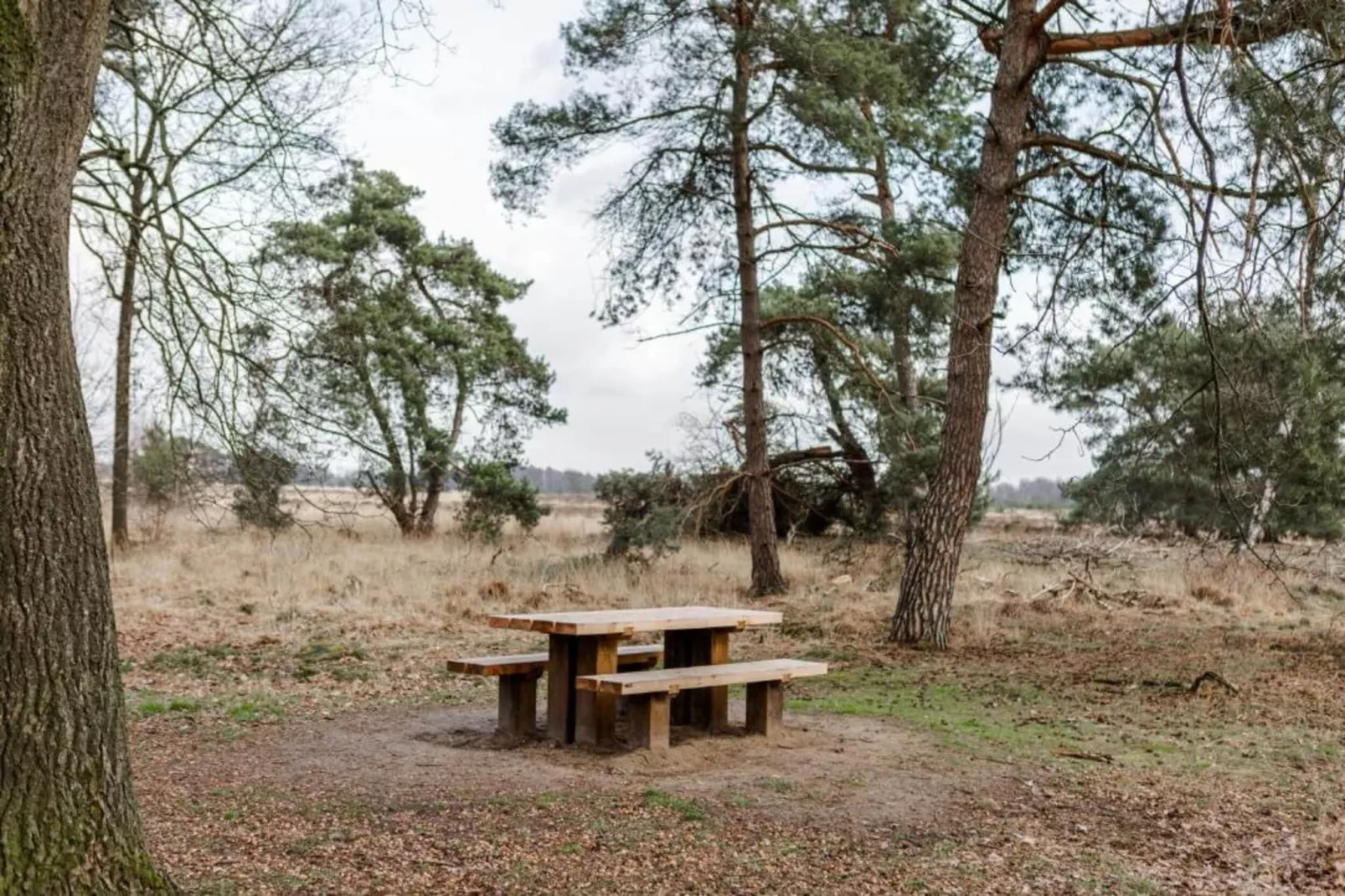 Dorpswoning Het Knusse-Zones été à 20 km