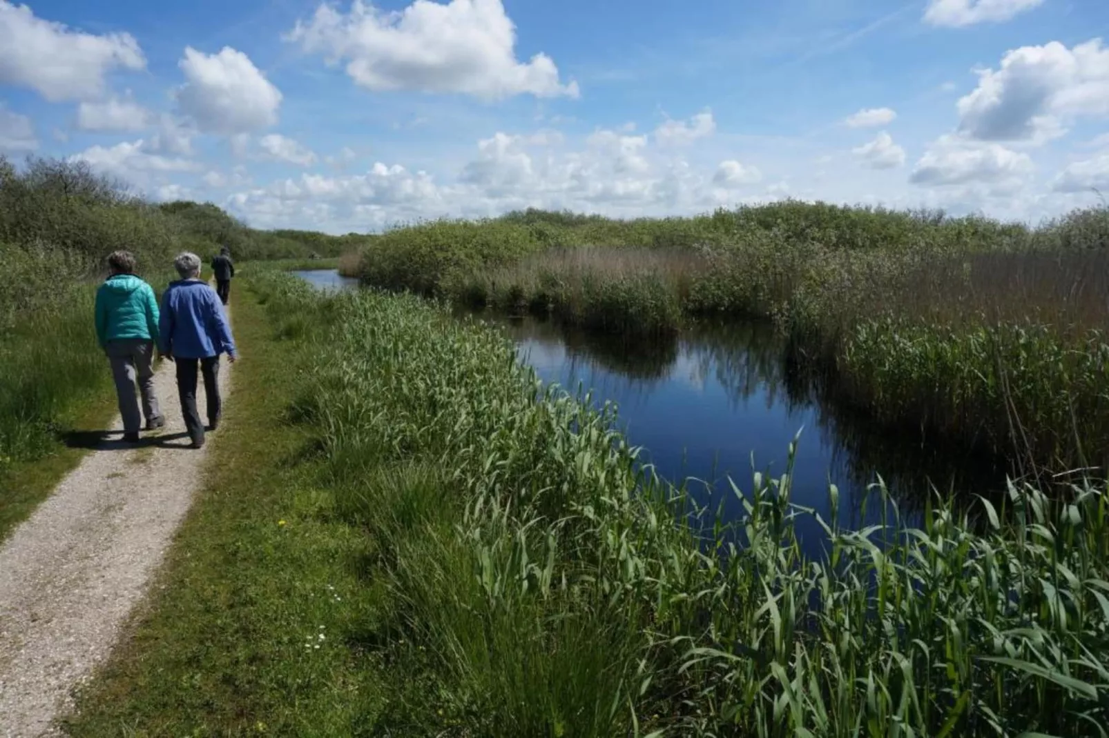 De Biotoop-Areas within 20km in summer
