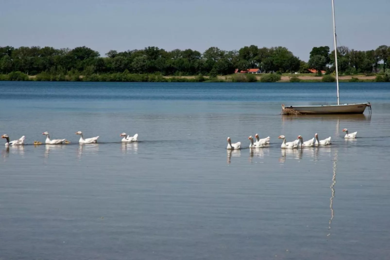 Maaspark Boschmolenplas - Vennenblik-Areas within 20km in summer