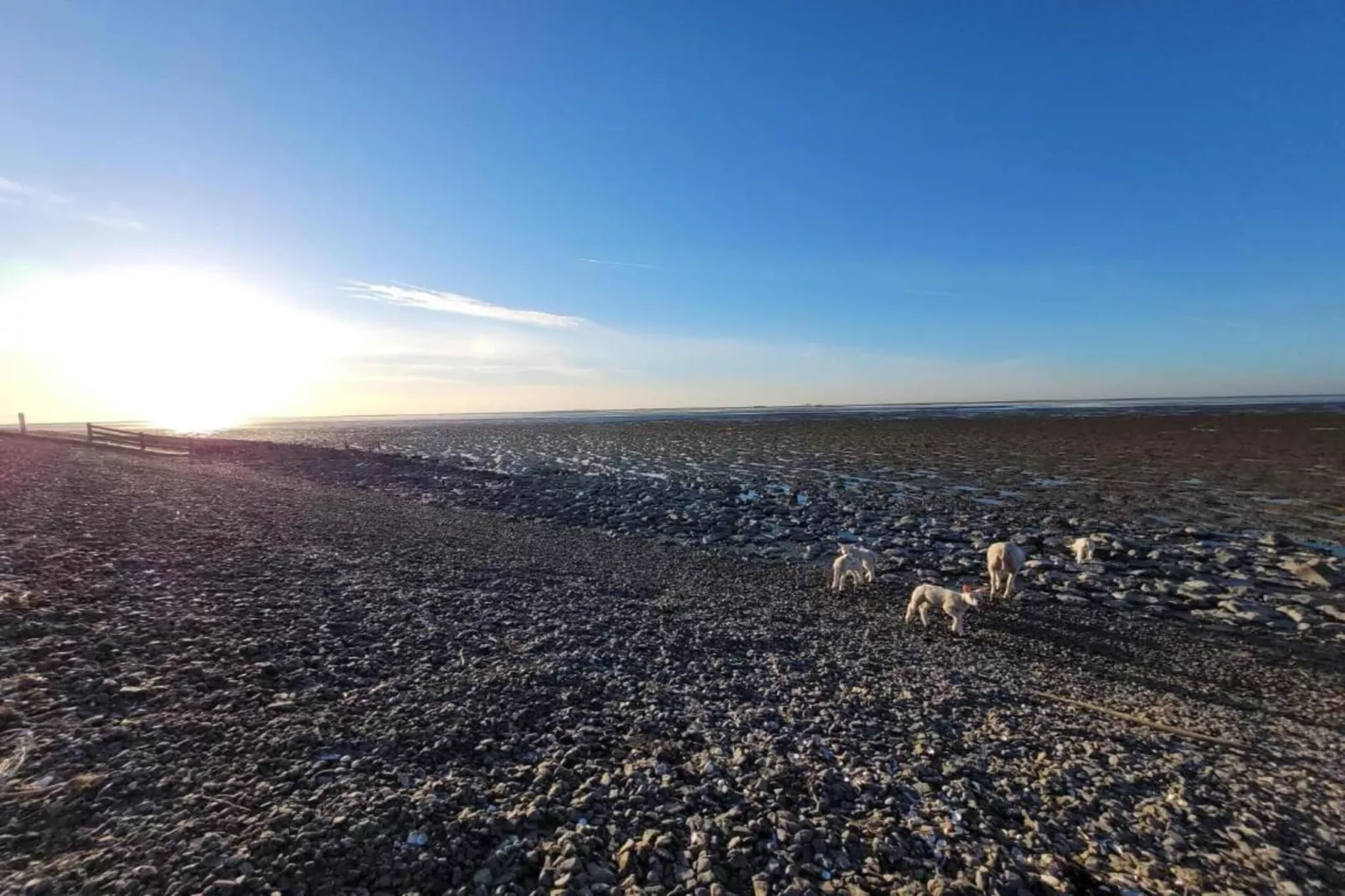 Landhuis Wad Anders-Areas within 20km in summer