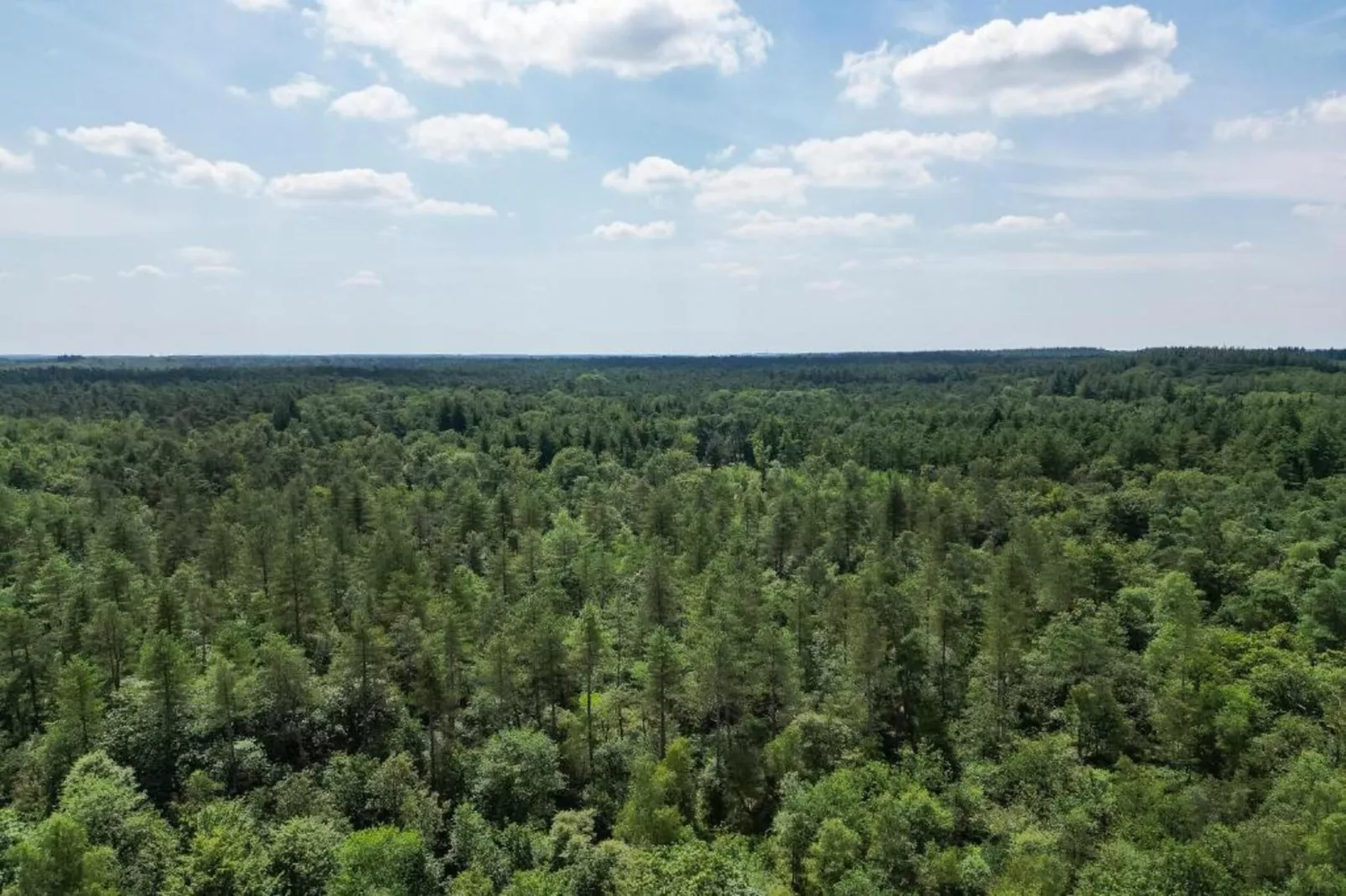 Bungalowpark Hoenderloo 3-Areas within 20km in summer