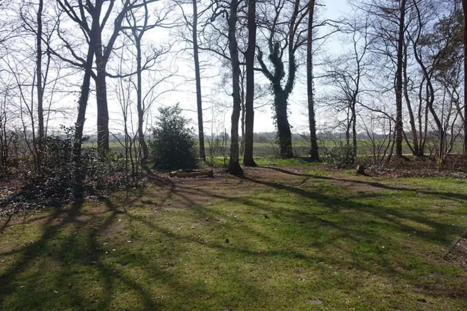 Hof van Salland 1-Areas within 5km in summer