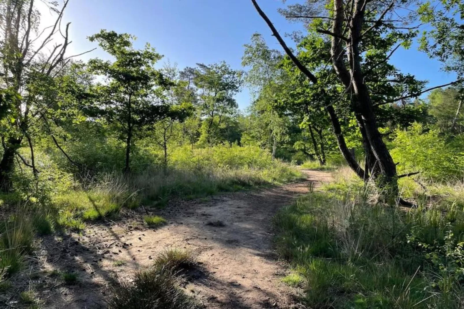 Vakantiepark De Rimboe & De Woeste Hoogte 21-Gebiete Sommer 5 km
