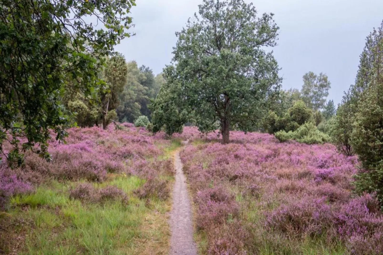 Vakantiepark Mölke 30-Areas within 20km in summer