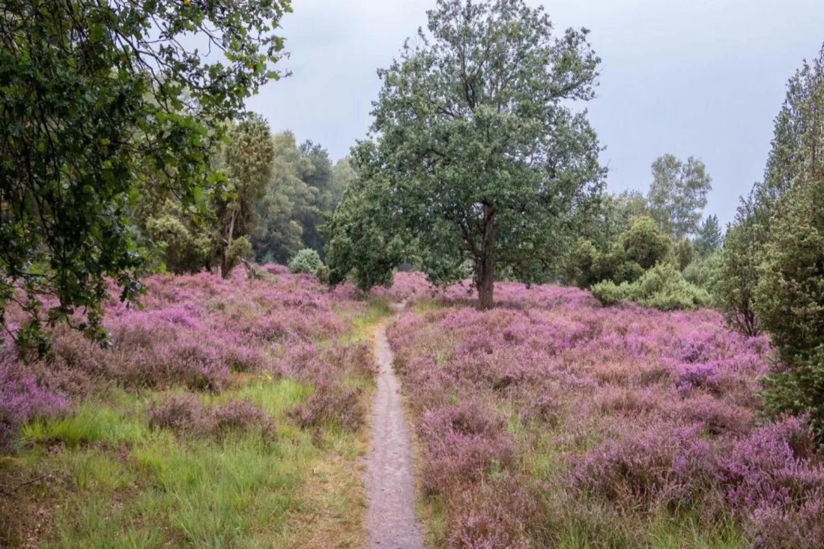 Vakantiepark Mölke 32-Areas within 20km in summer