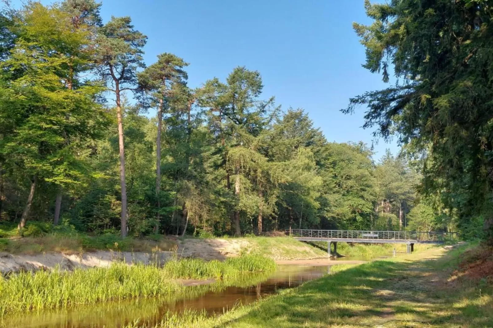 De ouwe diepvries-Areas within 20km in summer