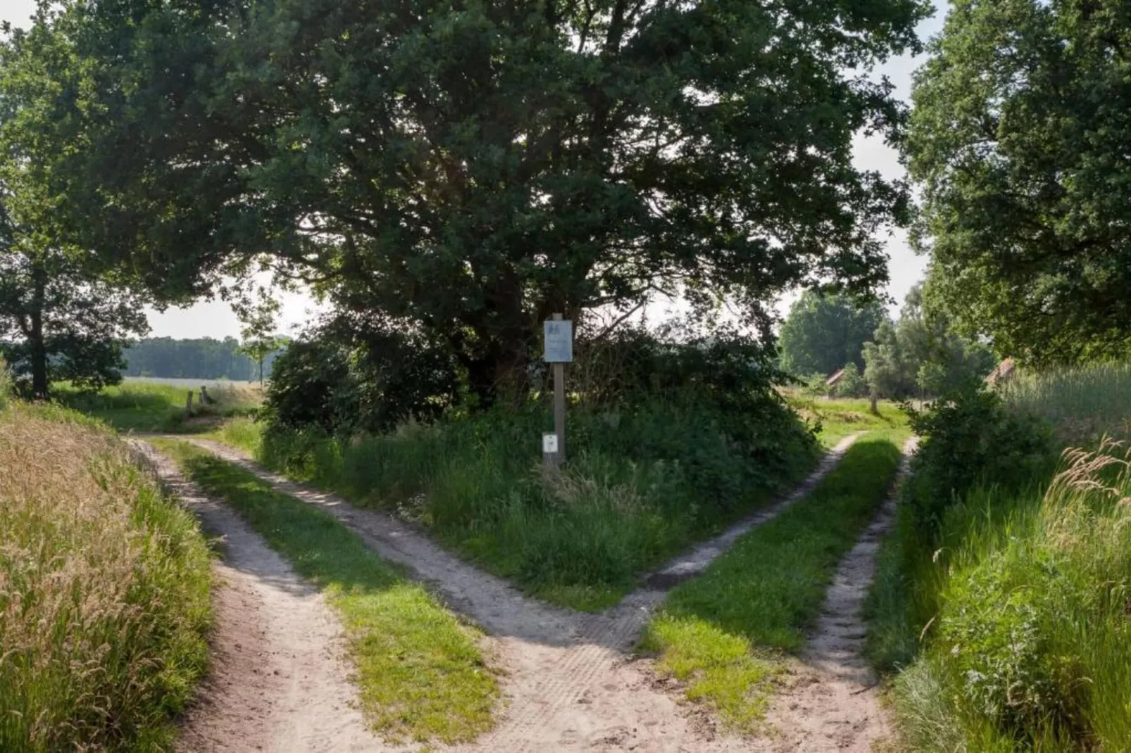 Chaletpark Kuiperberg 4-Areas within 5km in summer