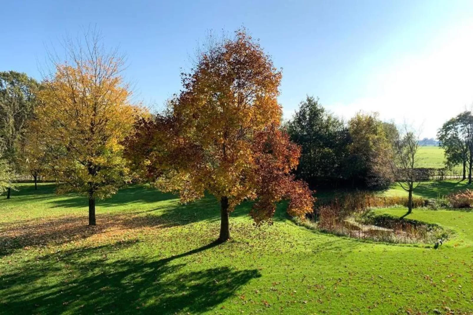 Recreatiepark Tolplas 11-Areas within 5km in summer