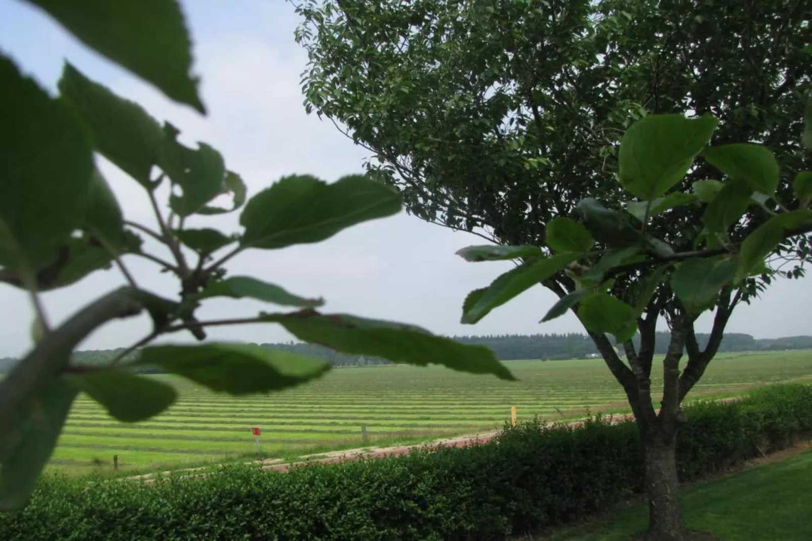 Buitenplaats Gerner 4-Areas within 20km in summer