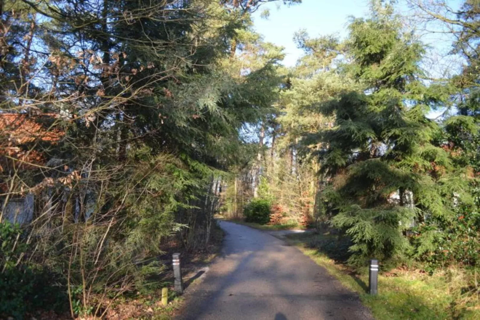 Vakantiepark de Vossenburcht 2-Areas within 20km in summer