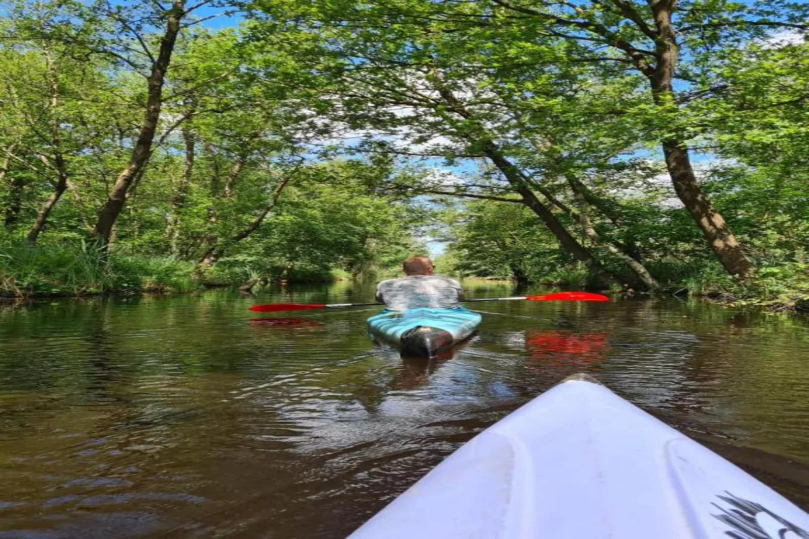 Résidence de Weerribben 4-Areas within 5km in summer