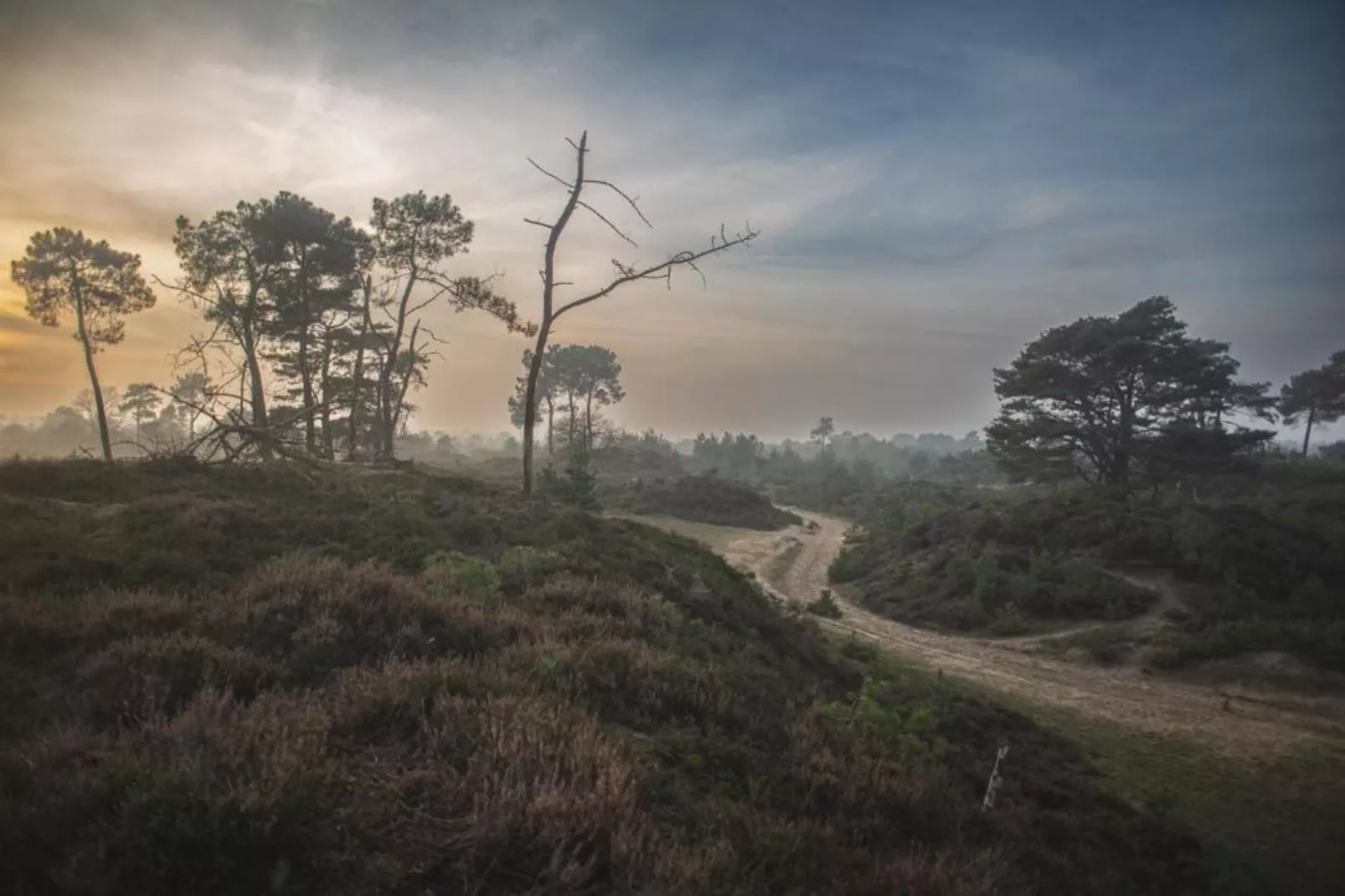 Chalet Vrijzicht-Zones été à 20 km