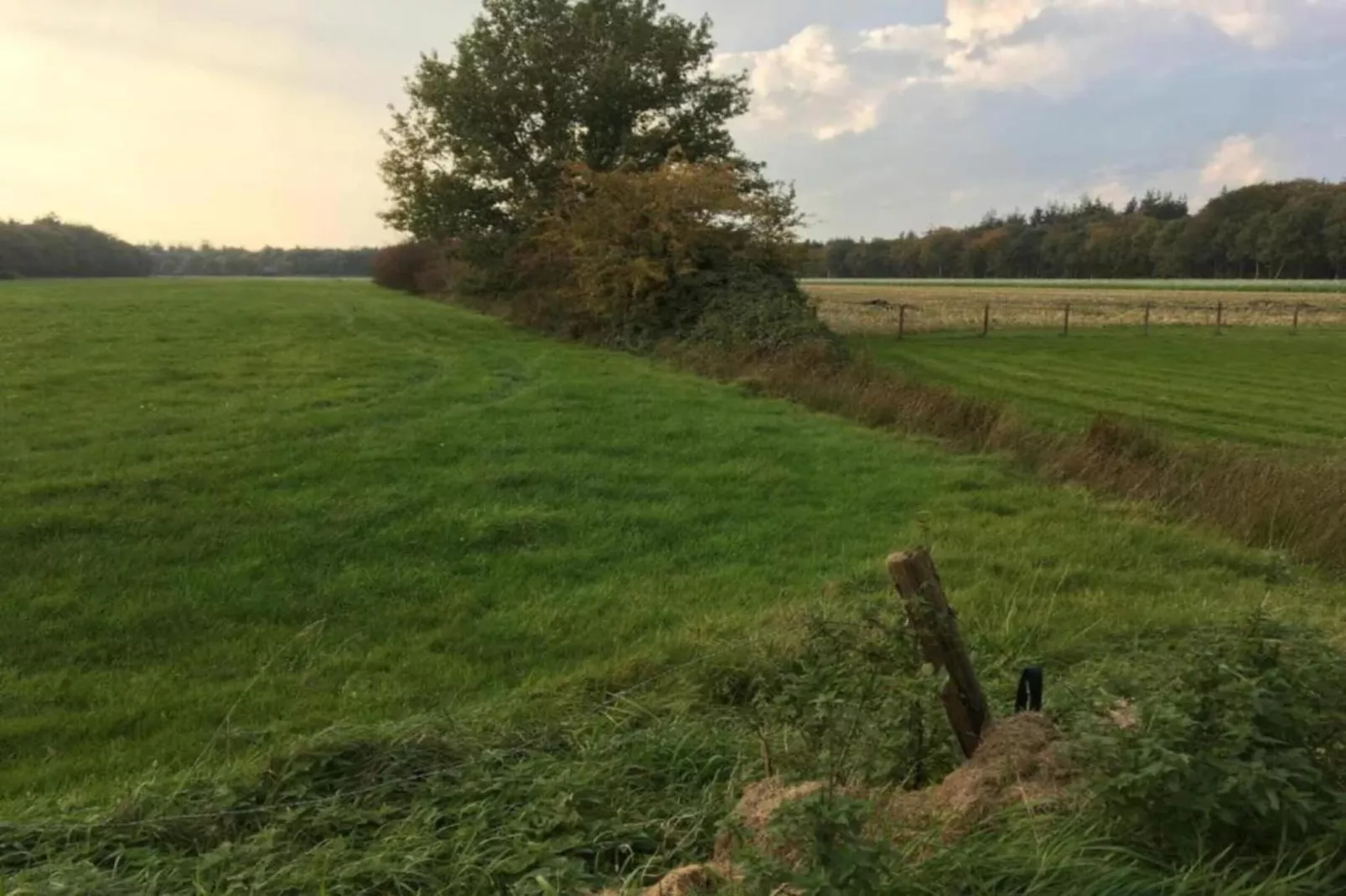 Lyts Sypenstien-Areas within 5km in summer
