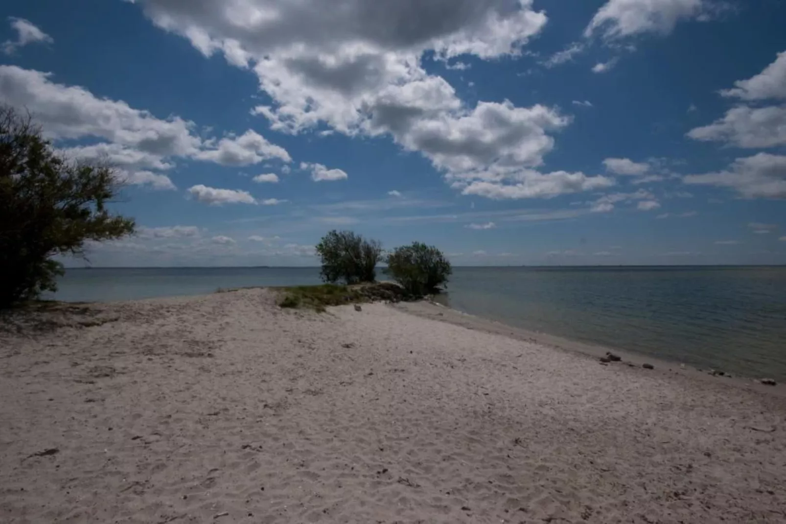De Meerkoet-Areas within 5km in summer