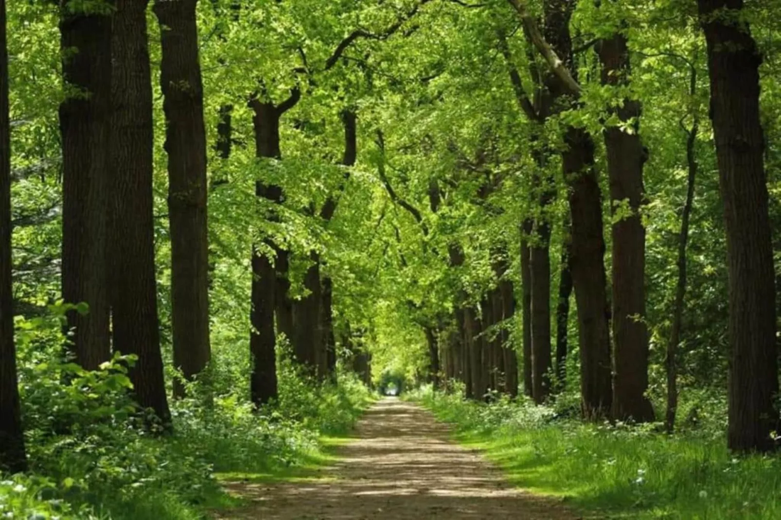 Huize Lewis-Areas within 5km in summer
