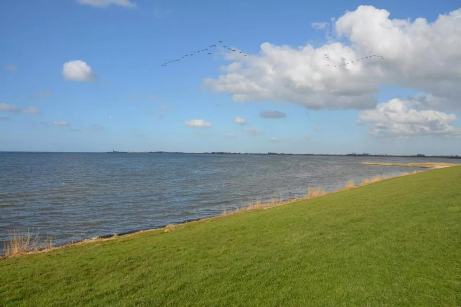 De Goudsbloem-Areas within 5km in summer