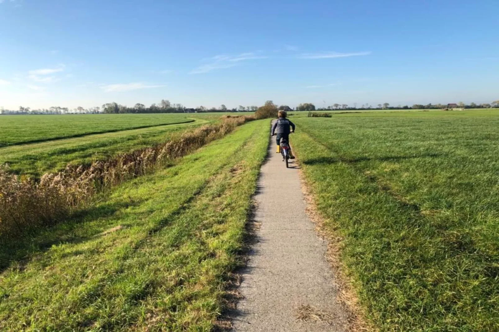 Pronkkeamer Skrins-Gebiete Sommer 5 km