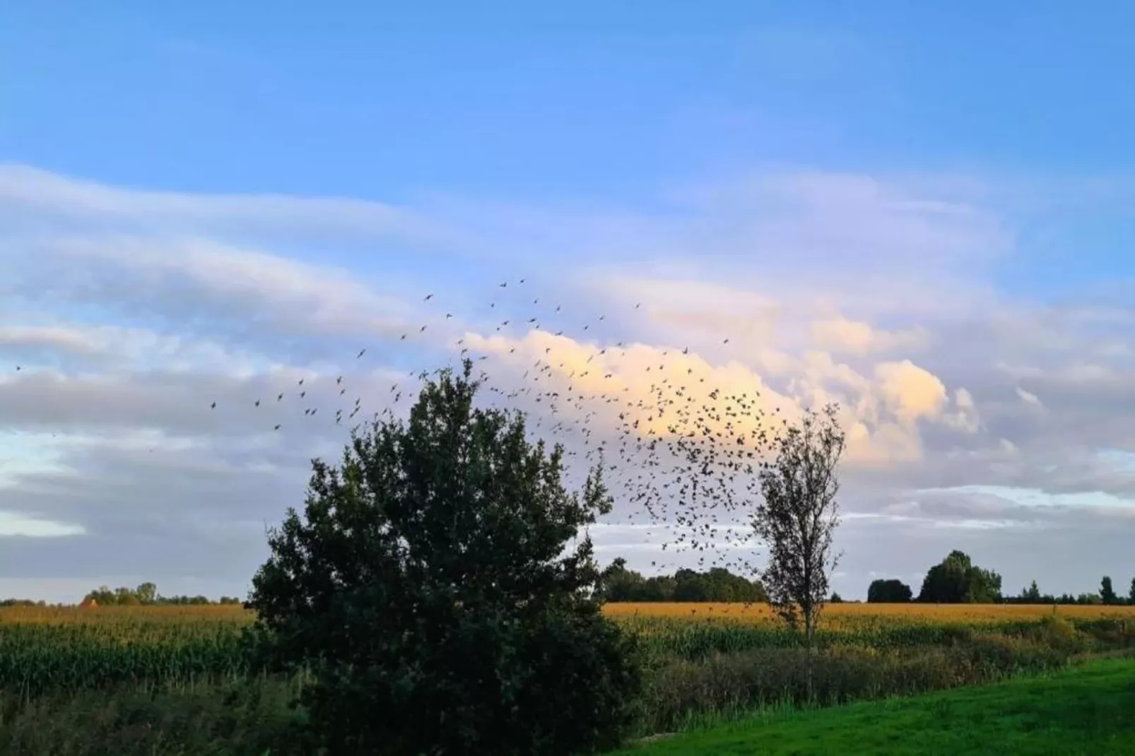 Chalet Jildau-Gebiete Sommer 20 km