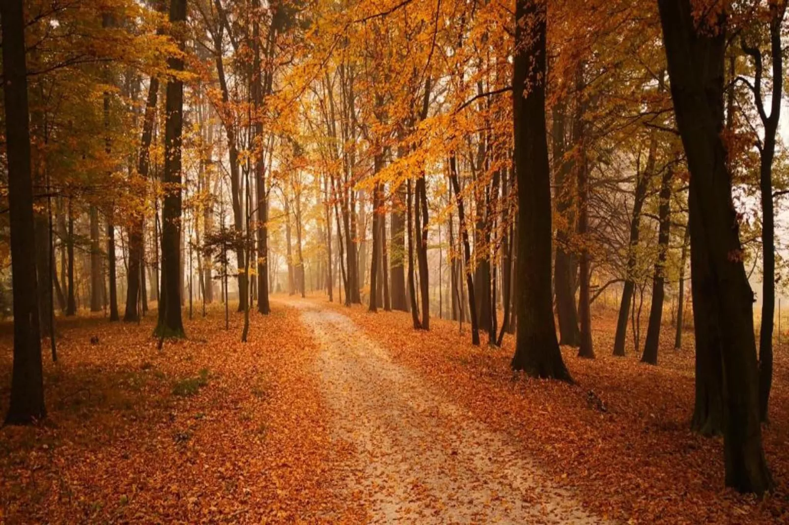 Villa Dobczyce-Gebiete Sommer 5 km