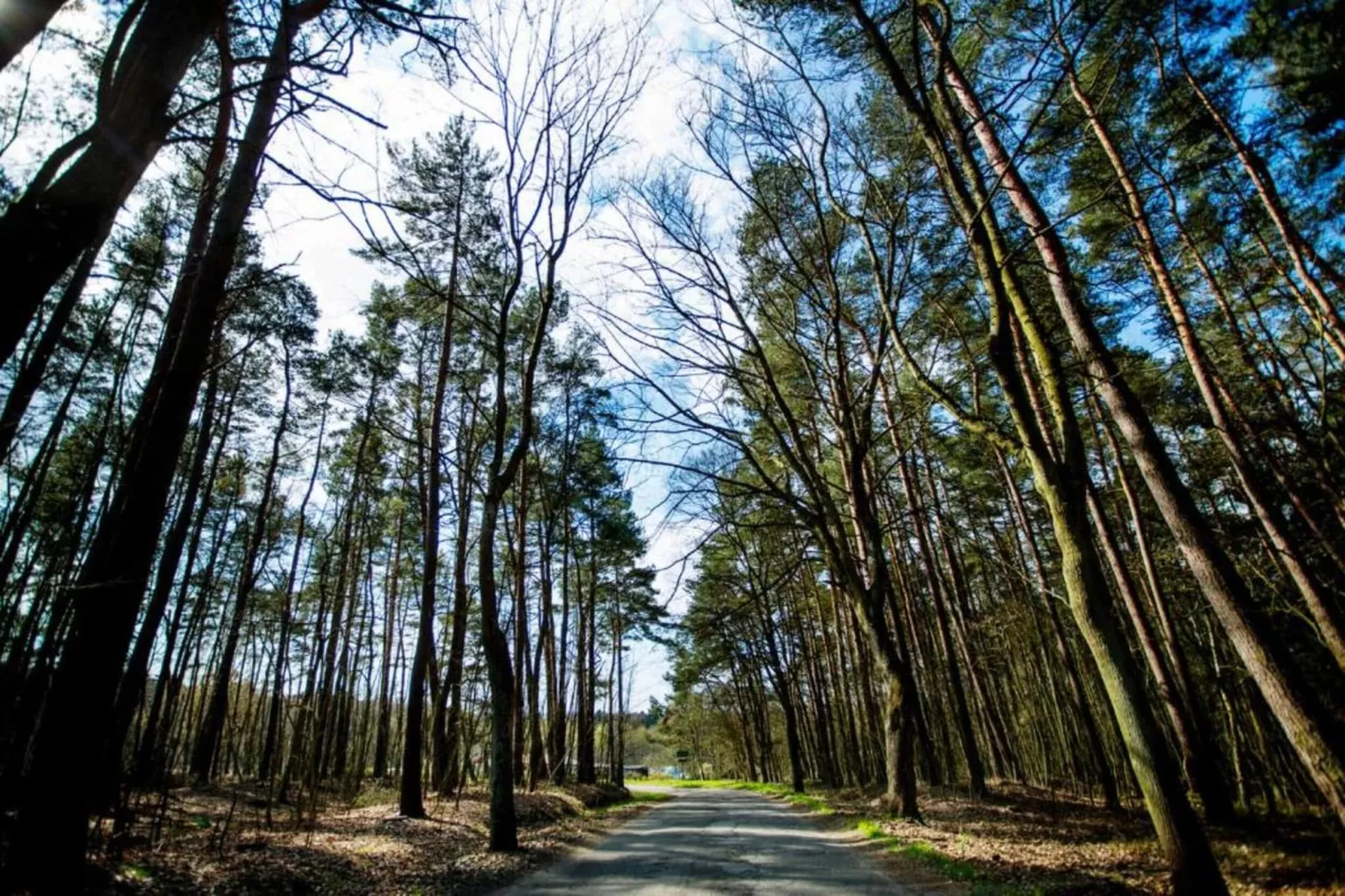 Willa Karwieńskie Błoto Drugie-Areas within 20km in summer