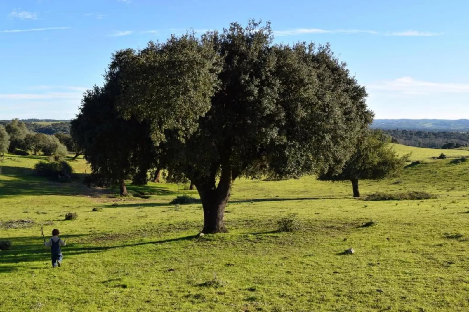 Casa do Forno-Gebiete Sommer 20 km
