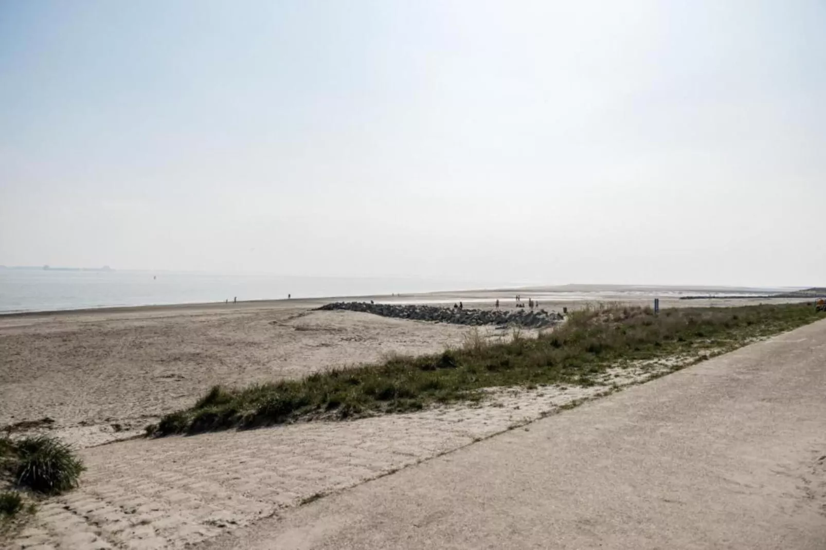 Scheldeoord 97-Areas within 20km in summer