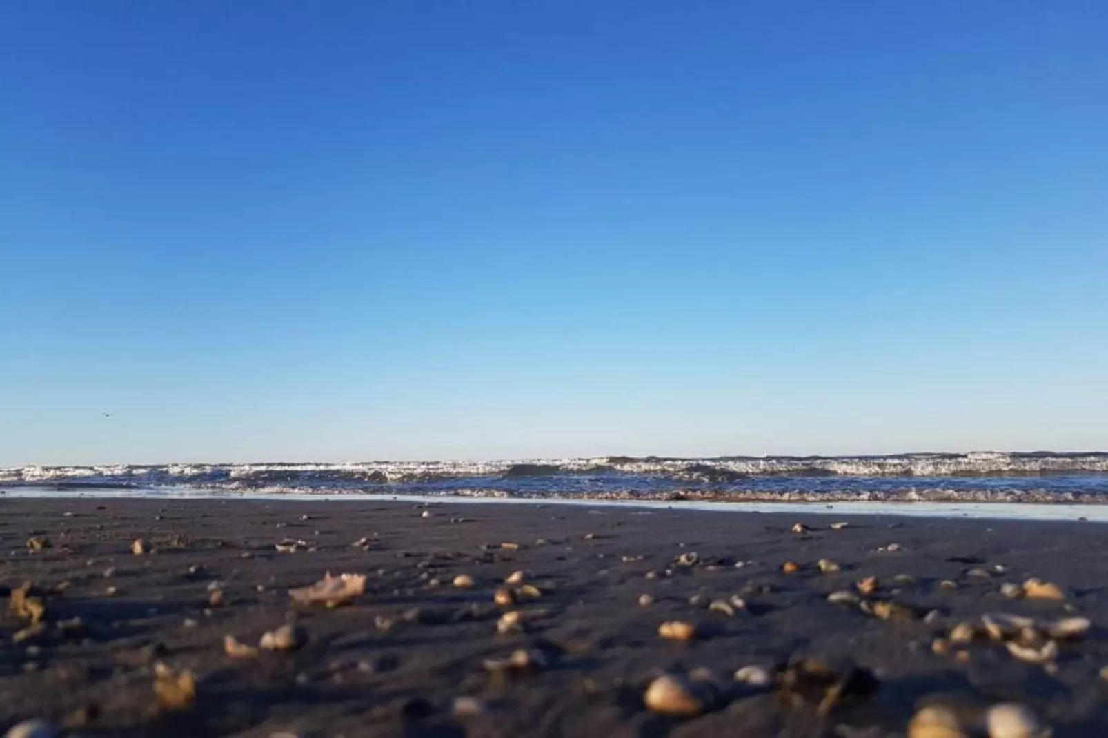 Antares Cesenatico-Zones été à 5 km