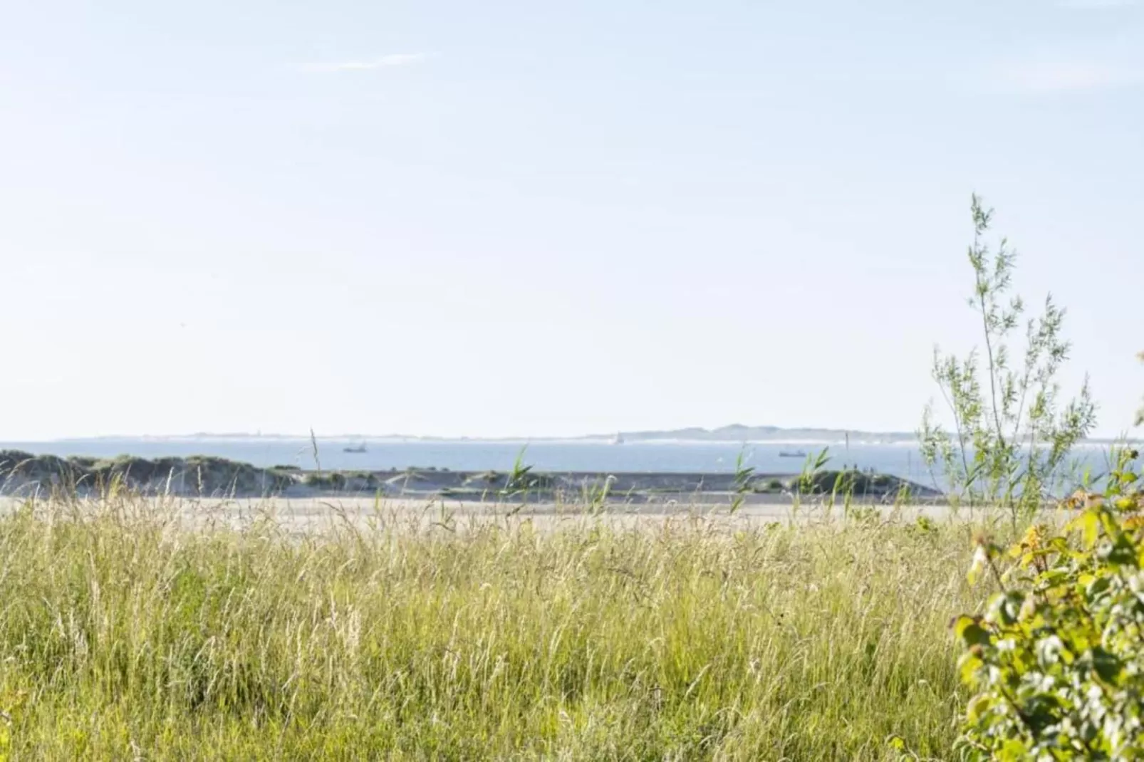 Vakantiepark Zeebad 14-Areas within 5km in summer