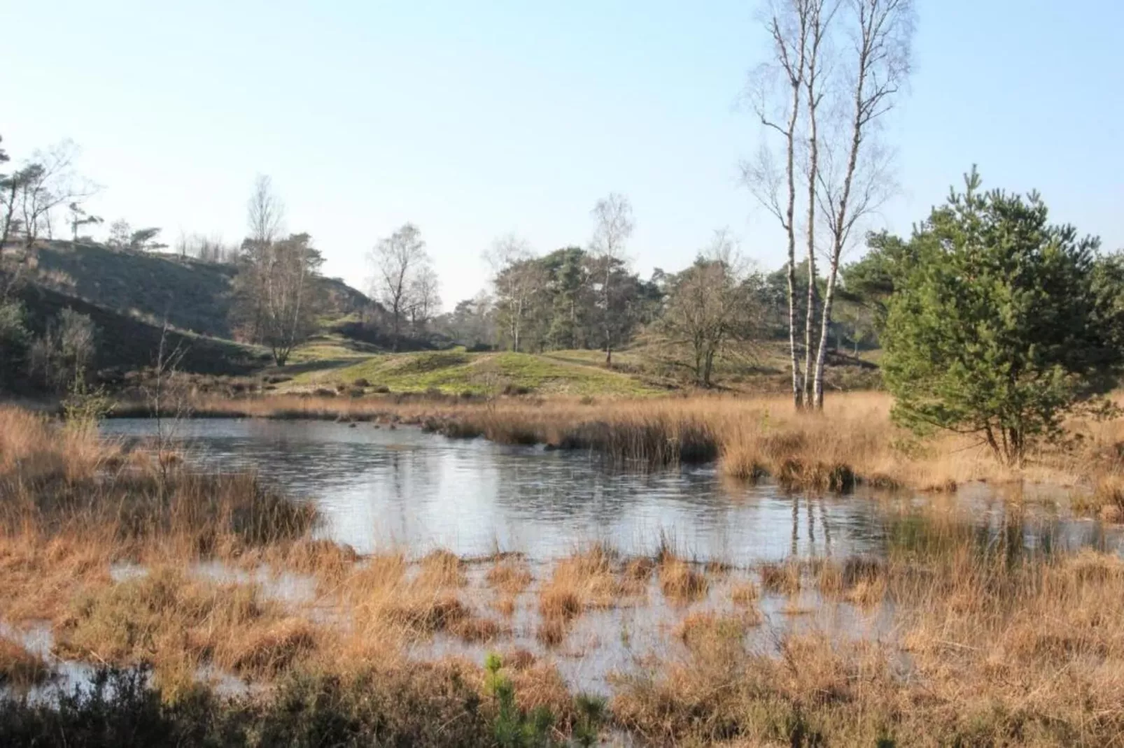 Vakantiepark Leukermeer 1-Gebiete Sommer 20 km