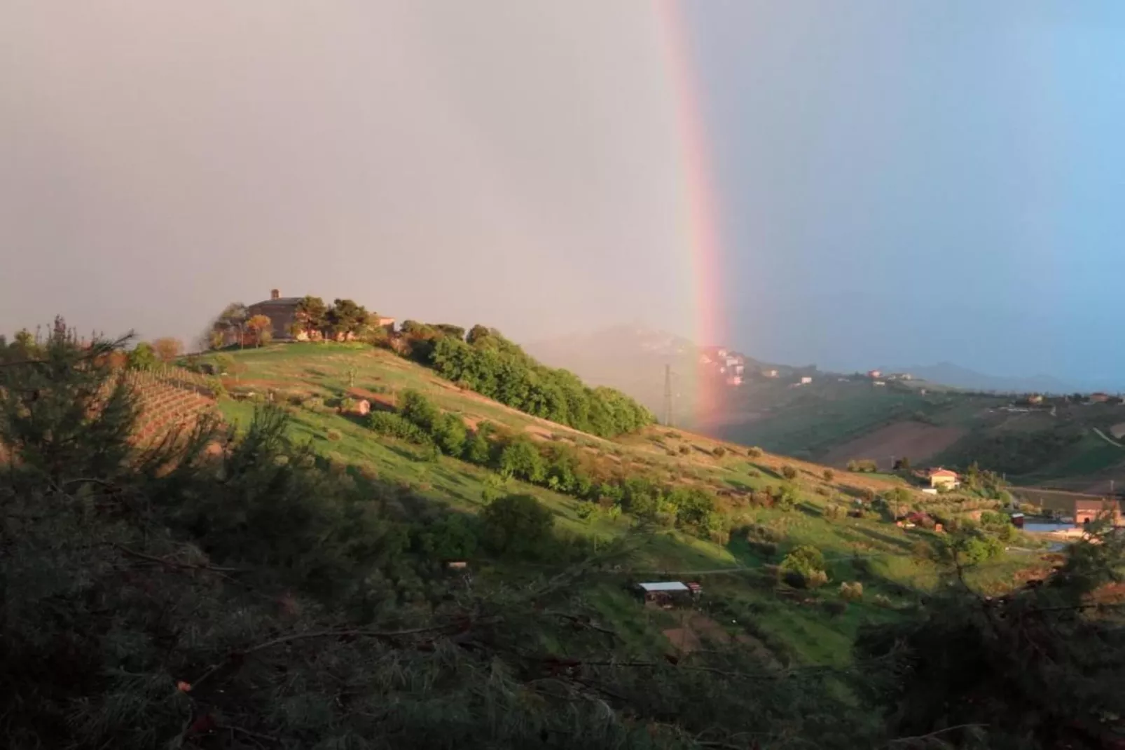Giglio-Areas within 5km in summer