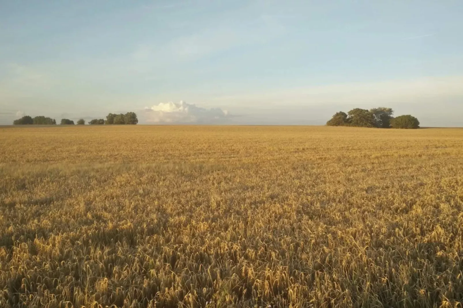 4 Personen Ferienhaus in Gedser-By Traum-Nicht zugeordnet