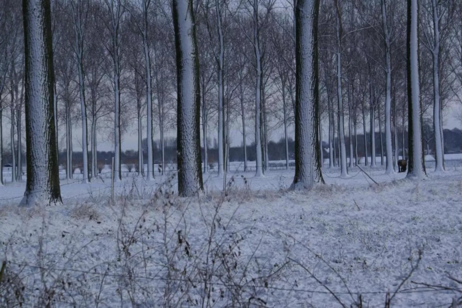 Leenhaag-Zones hiver à 20 km