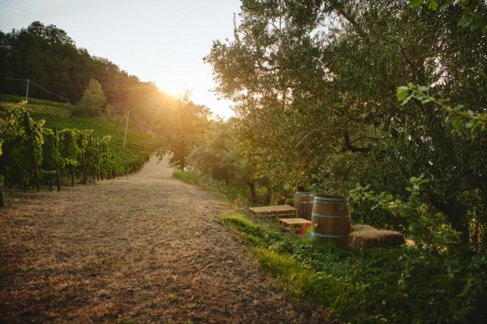 Appartamento Le Rondini-Areas within 5km in summer