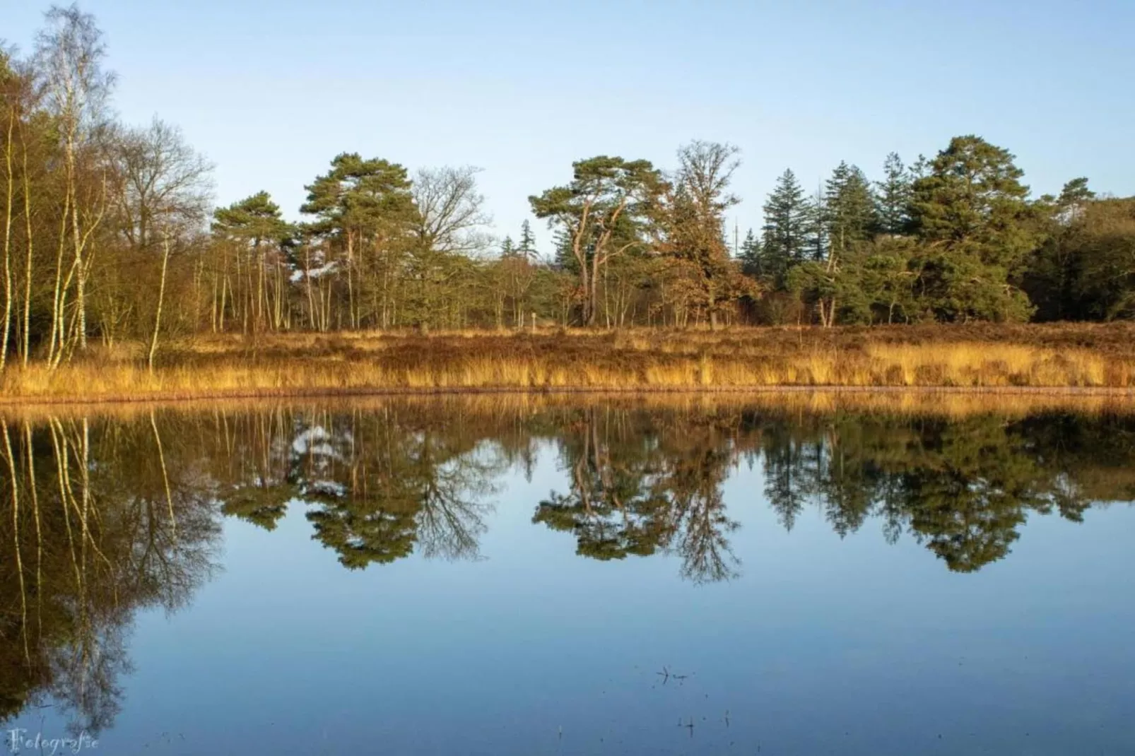 Hulshorsterhout-Areas within 20km in summer