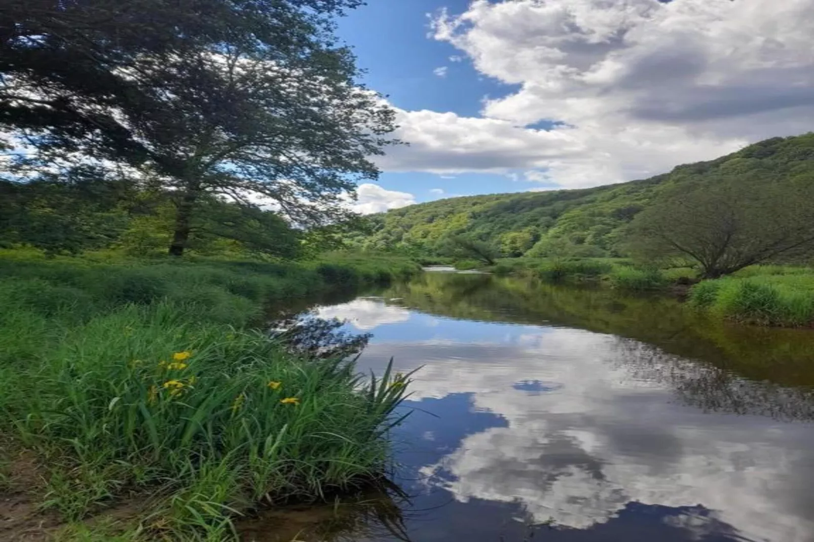 Leora Cocoon-Areas within 20km in summer