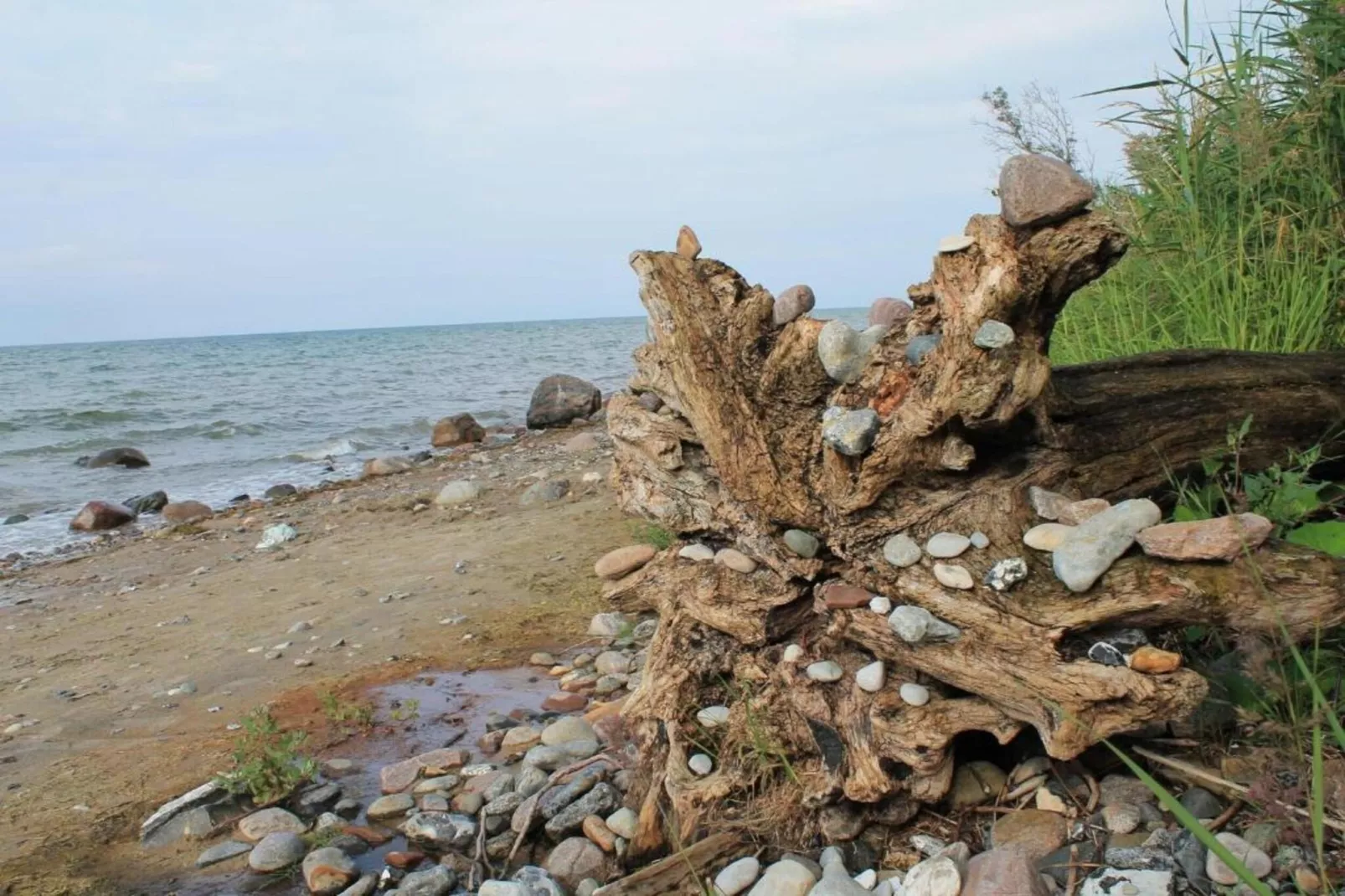 Ferien an der Ostsee-Gebiete Sommer 5 km