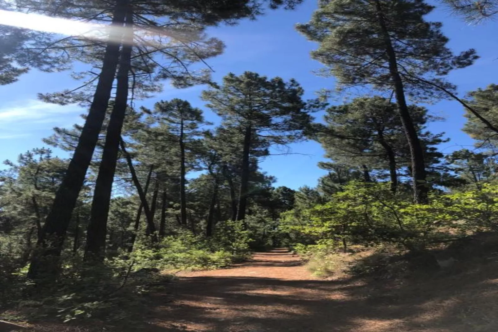 LA BOSCALIERE/ CHABROUD-Zones été à 20 km