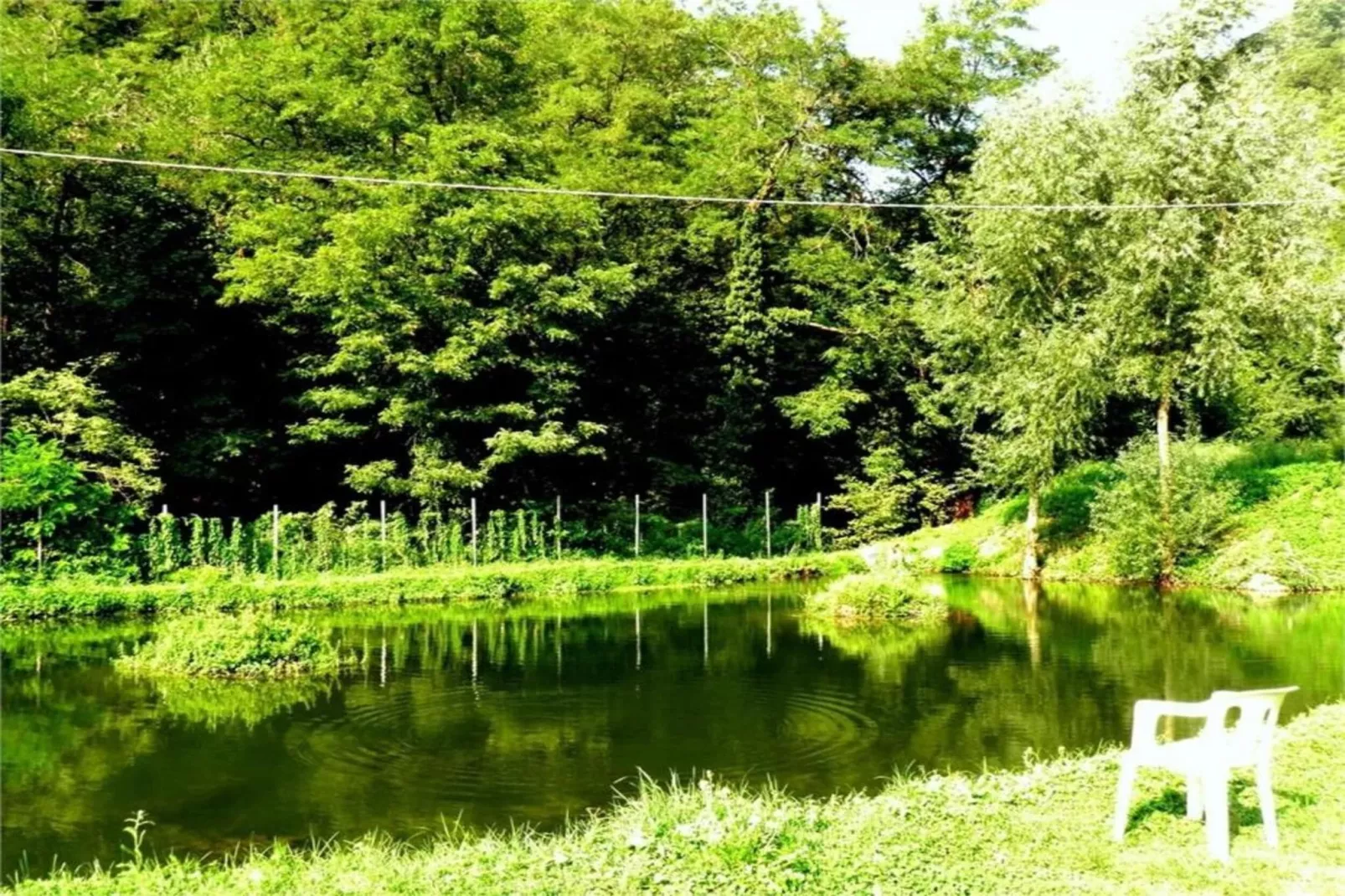 Torretta-Areas within 20km in summer