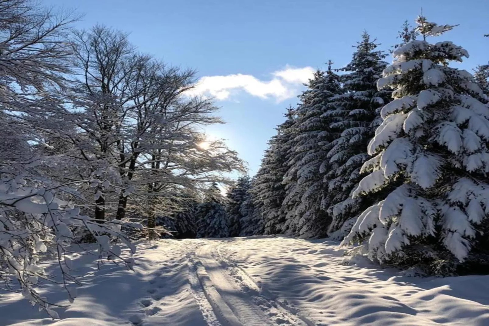 Edertal-Gebiet Winter 20 km