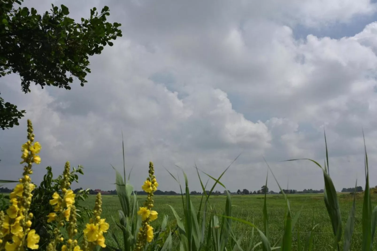 Friese Meren Villa's 20-Areas within 20km in summer
