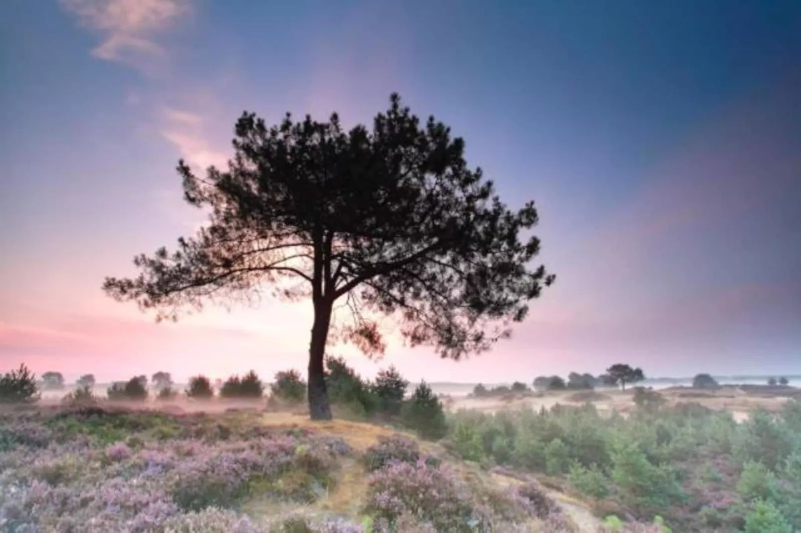 Glamping Resort Lauwersmeer 3-Areas within 20km in summer