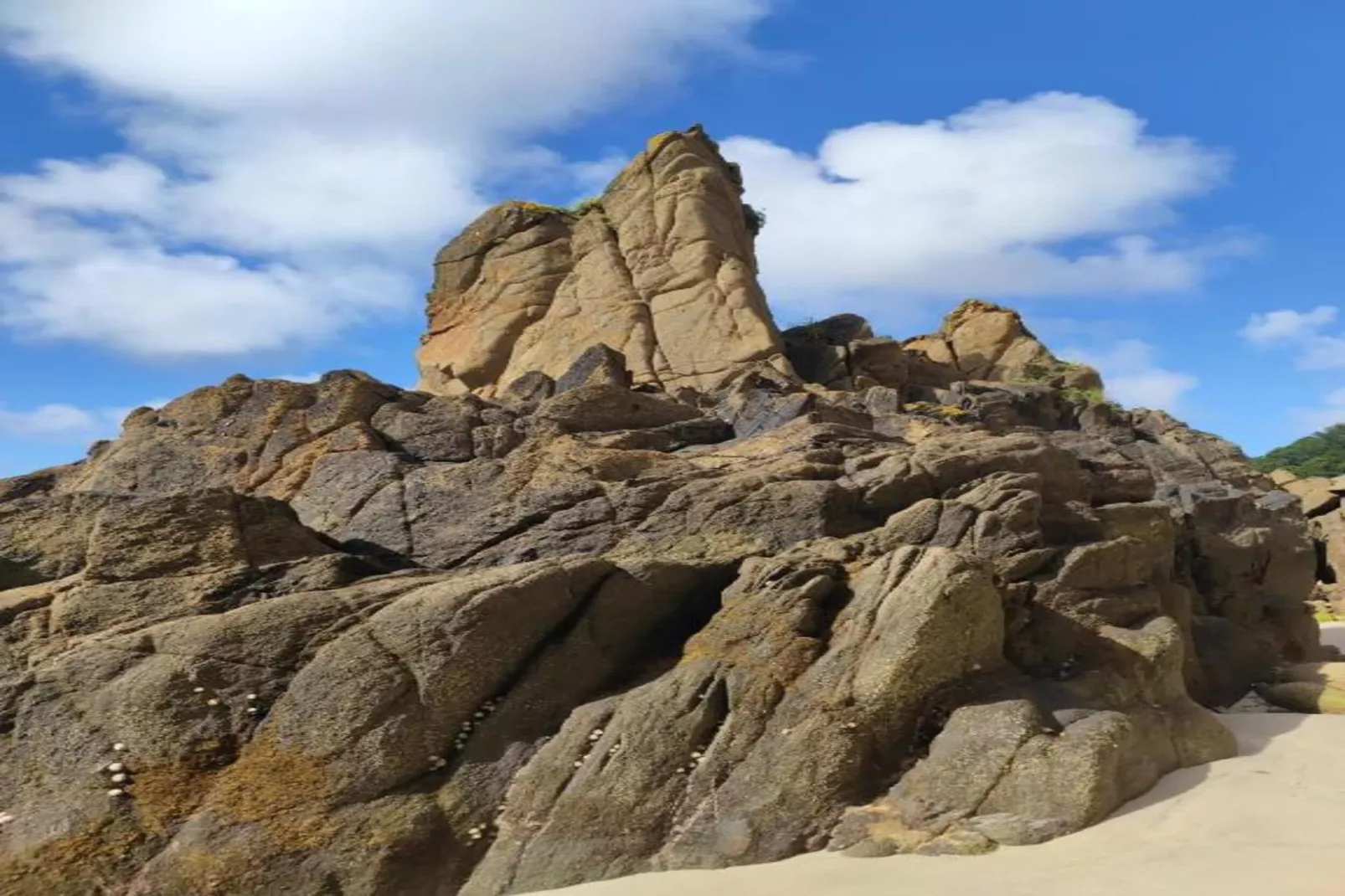 Le Domaine de Bertheaume-Zones été à 20 km