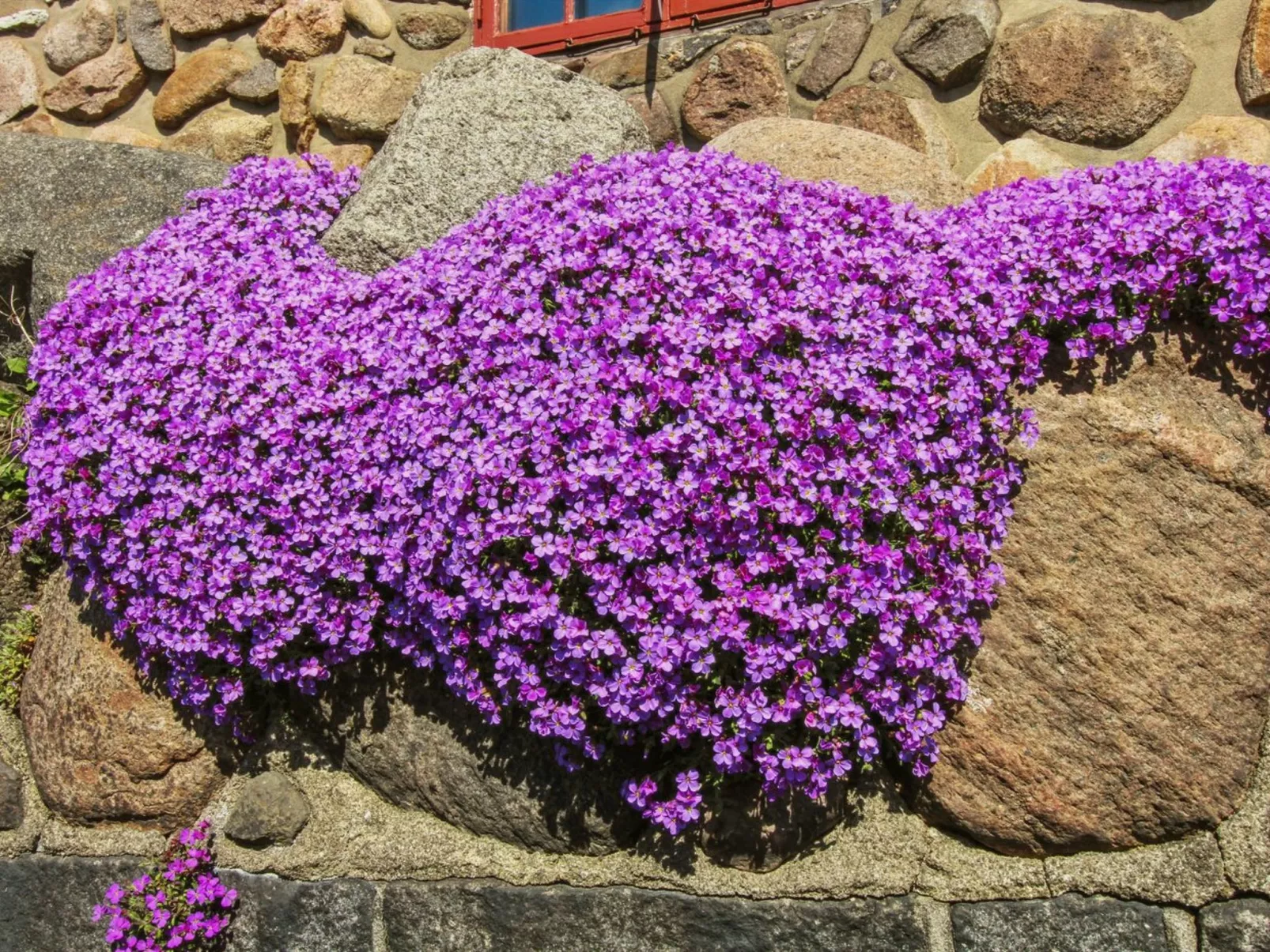 "Detlef" - 200m from the sea-Outside