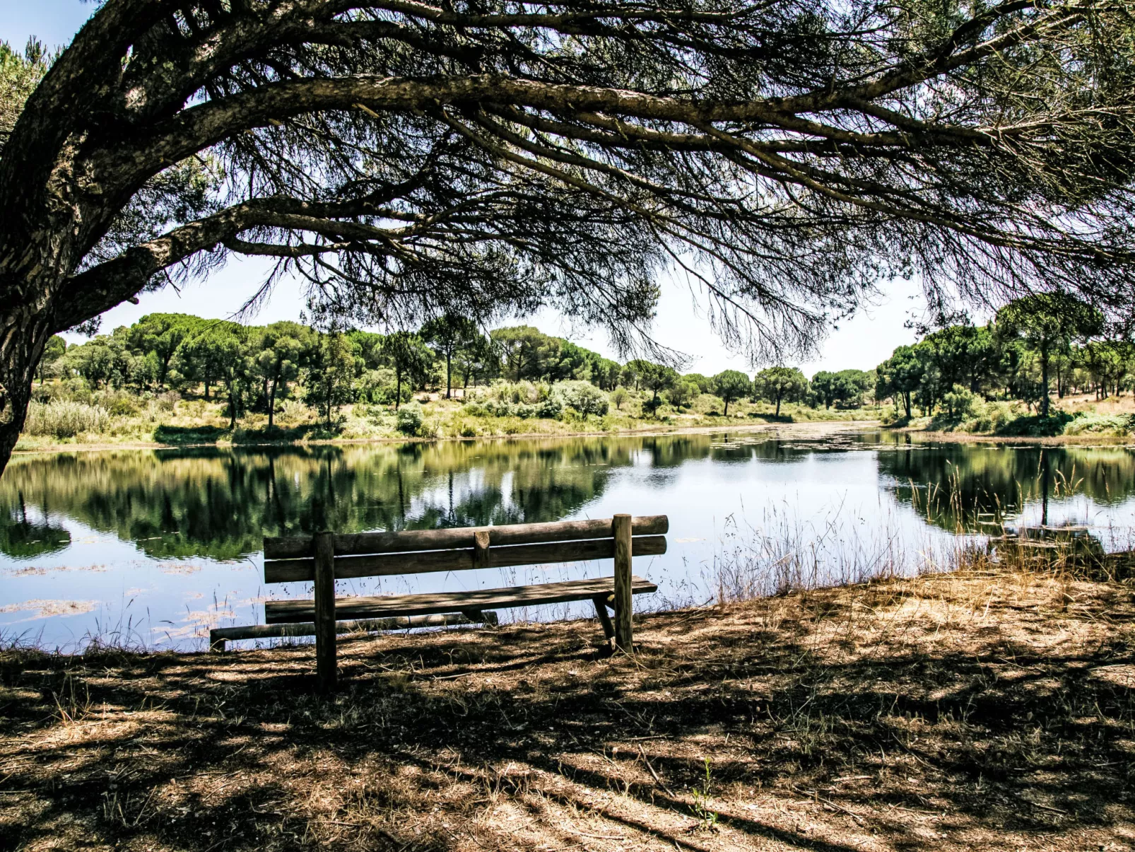 Herdade de Montalvo, Villa 60-Umgebung