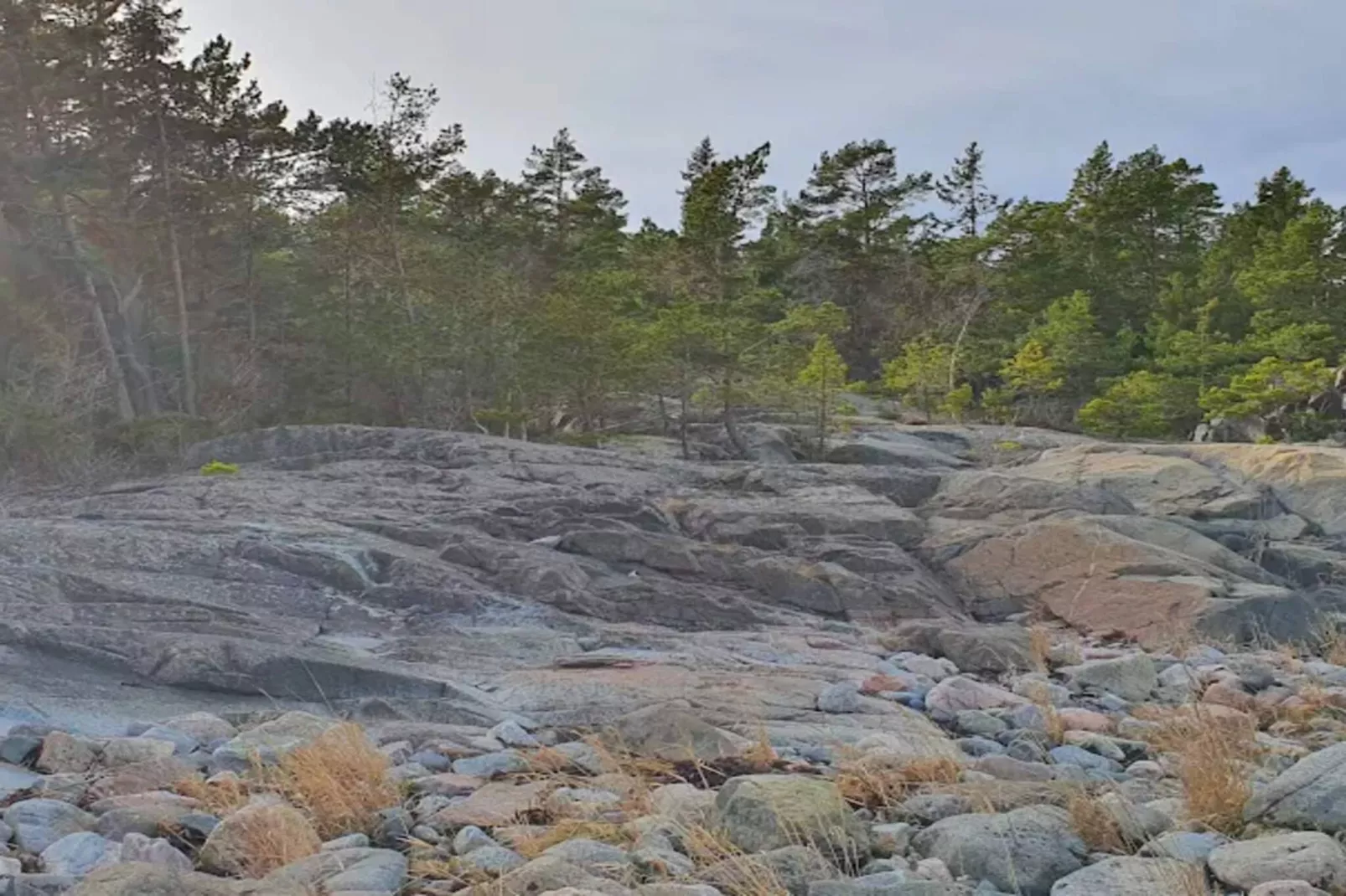 7 person holiday home in GRISSLEHAMN-By Traum-Untagged