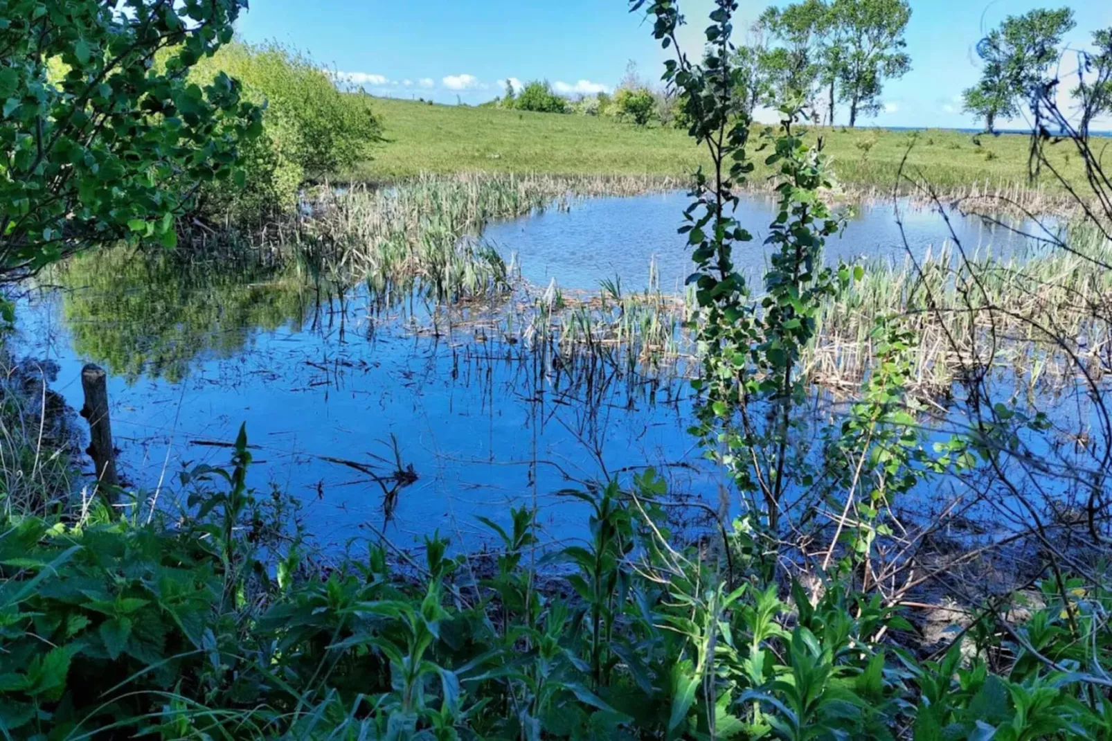 6 Personen Ferienhaus in Martofte-By Traum-Wasserblick