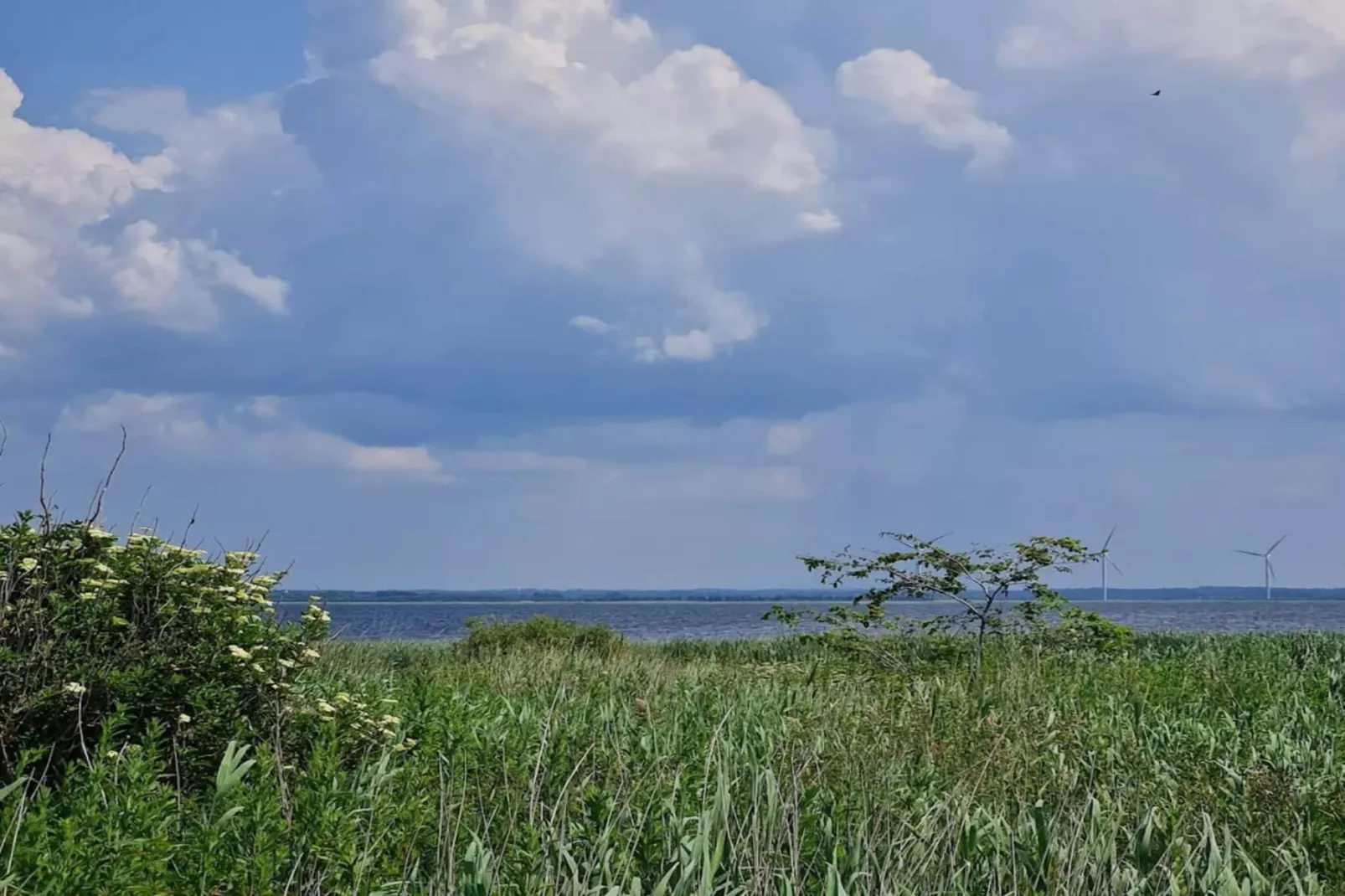 6 person holiday home in Ulfborg-By Traum