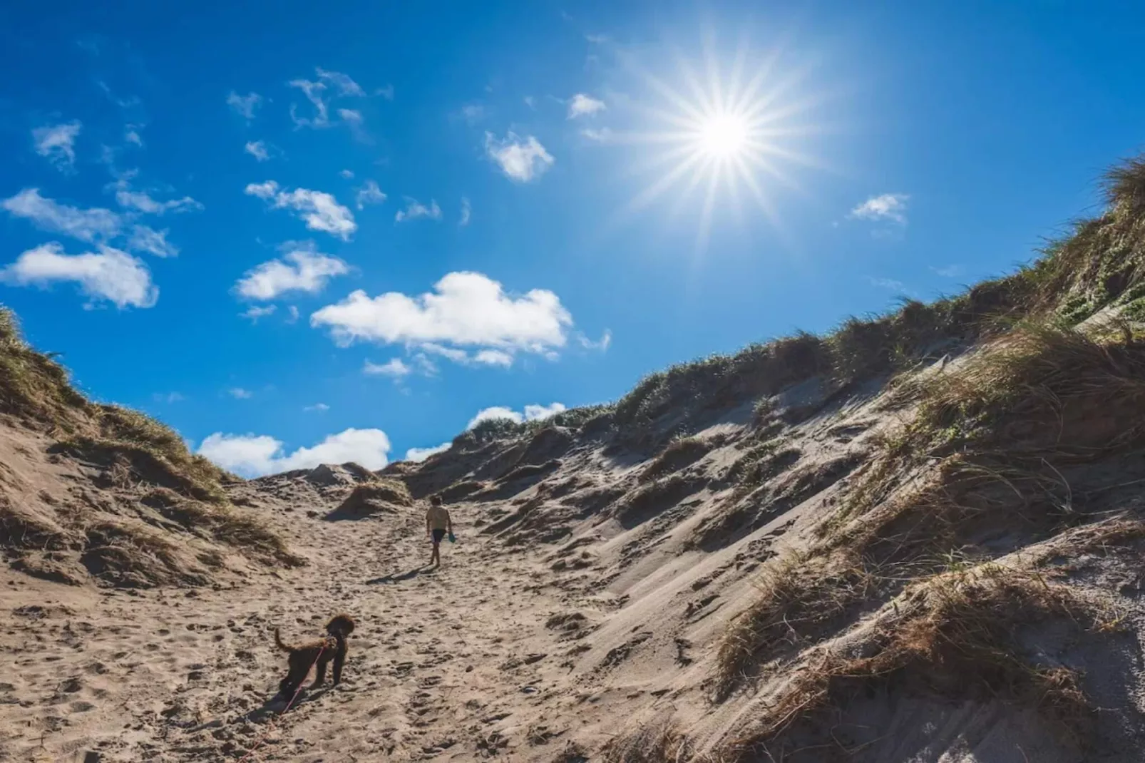 6 person holiday home in Hvide Sande-By Traum-Untagged